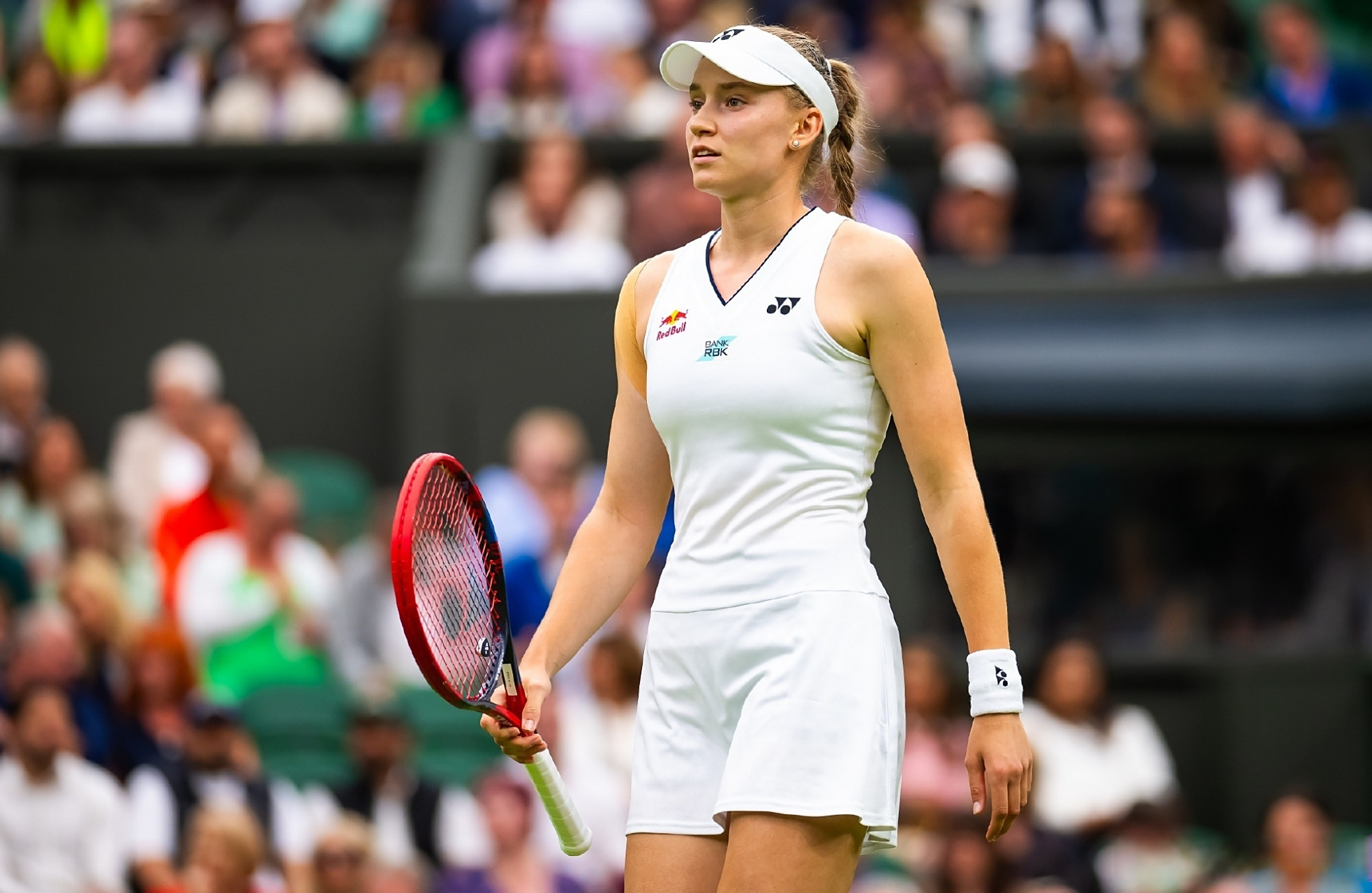 也展示了美 也展示了美